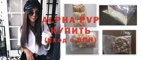 спиды Каменногорск