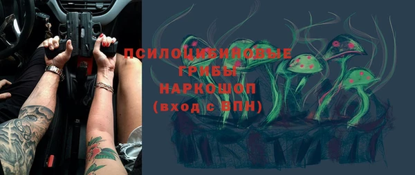 спиды Каменногорск