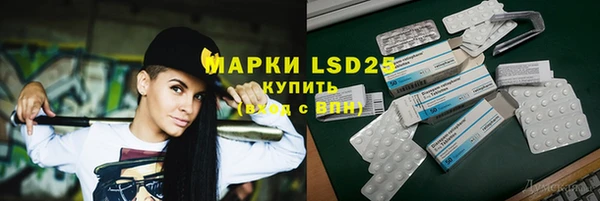 спиды Каменногорск