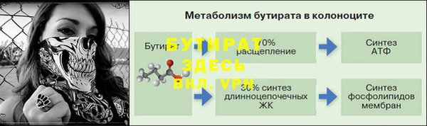 спиды Каменногорск