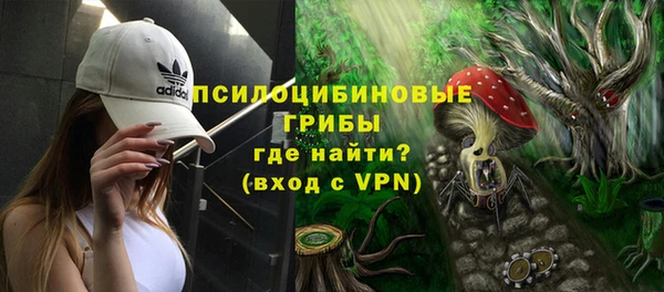 спайс Белая Холуница