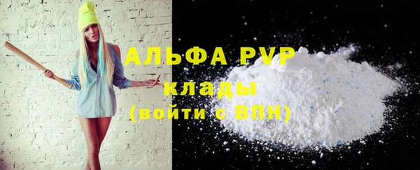 спиды Каменногорск