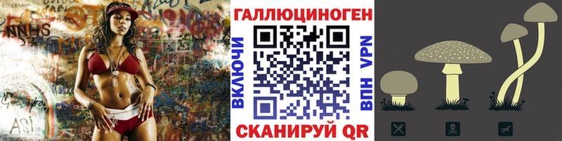 Псилоцибиновые грибы GOLDEN TEACHER Омск