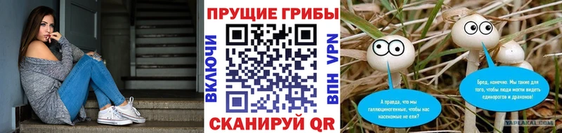 darknet Telegram  Омск  Галлюциногенные грибы GOLDEN TEACHER 